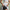 Women's Tennis Skirt-Honeycomb