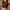 Women's Padded Crop-Top
